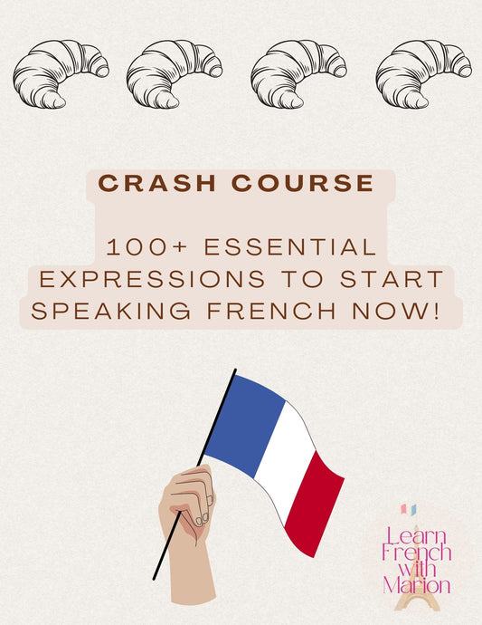 FREE eBook Crash Course 100+ Essential Expressions to learn French NOW!